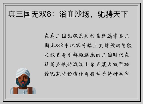 真三国无双8：浴血沙场，驰骋天下