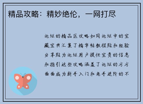 精品攻略：精妙绝伦，一网打尽